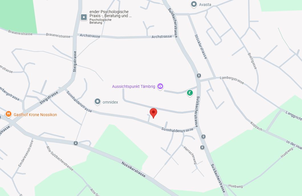 Google maps - Sonnhaldenstrasse 29 Screenshot einer Google Maps Strassenkarte zum Sonnhaldenstrasse 29 in 8610 Uster
